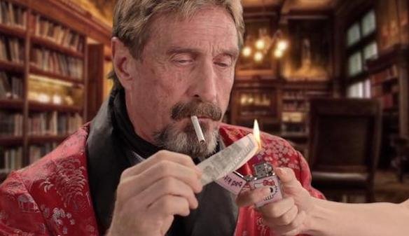 511ԪչӢضΪҪMcAfee