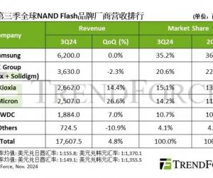 2024ȫNANDҵӪ4.8%